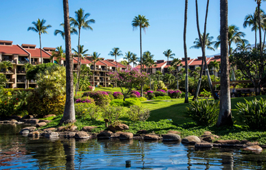 Castle at Kamaole Sandsimage