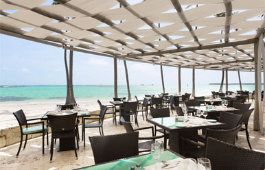 Barcelo Bavaro Beach - All-Inclusiveimage