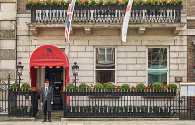 Chesterfield Mayfairimage