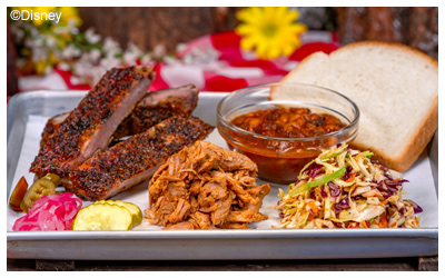 Ribs, beans, pulled chicken and slaw presented on a plate.