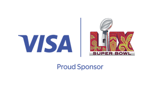  Image of the Visa NFL Logo
		                        