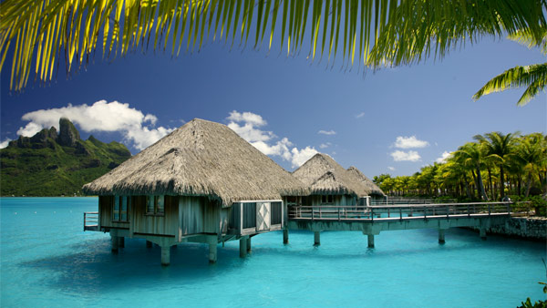 Bora Bora Vacation Packages | Costco Travel