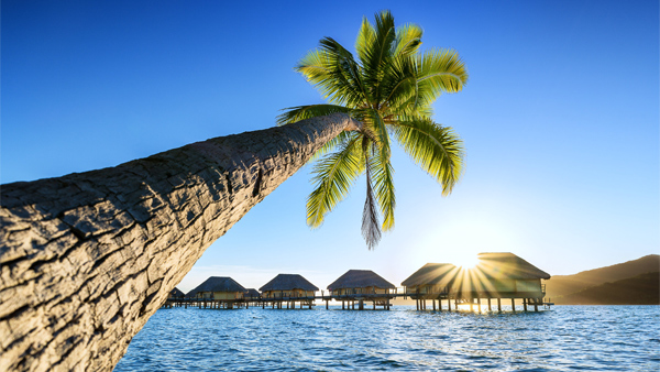 Tahiti: Le Taha'a by Pearl Resorts Package | Deal | Costco Travel